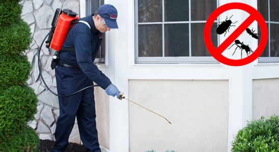 Yalova Böcek ve Haşere İlaçlama böcek ilaçlama ve haşere kontrolü — ilaclama-tr.com